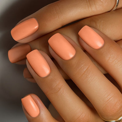 Apricot Whisper