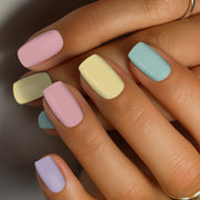 Rainbow Bliss