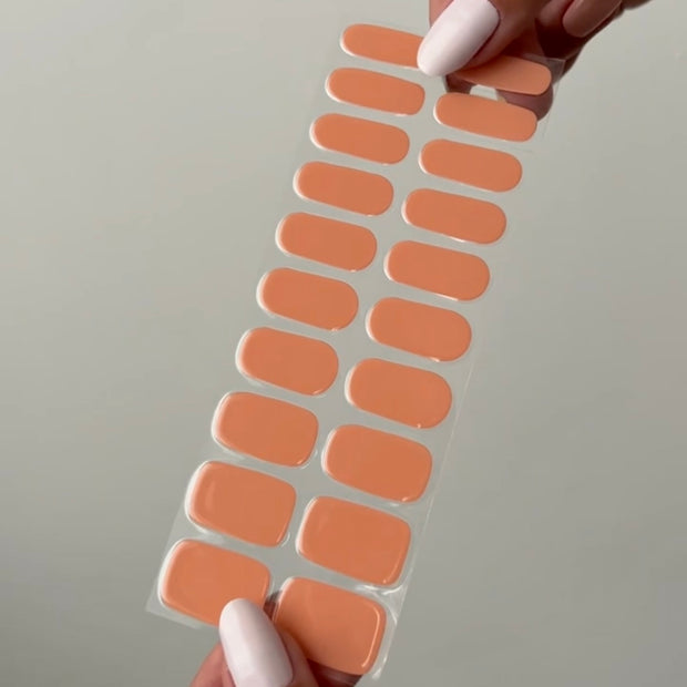 Apricot Whisper